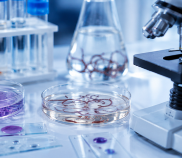 Estudios de Laboratorio Clínico | BioAquim Jalisco